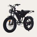 Fatbike Nova V20